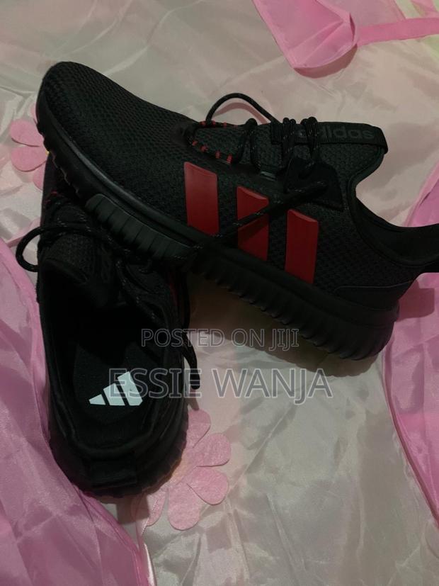 Original Addidas Male Shoes