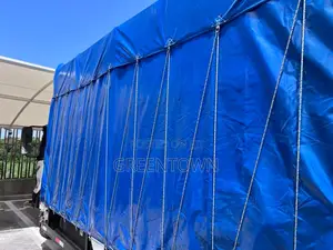 Car/Lorry Tarpaulin Cover Sets (Top and Sides) / Vyandarua