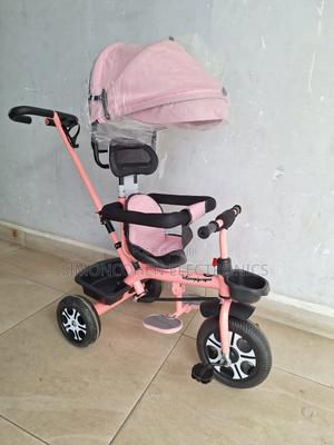 Tricycle With Canopy - thumbnail 2