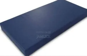 Waterproof Macintosh Mattress Protector –Sl