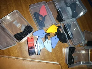 Whistles Dolphin F