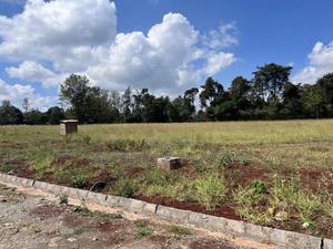 Land for Sale - thumbnail 2