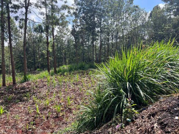 Land for Sale - thumbnail 7