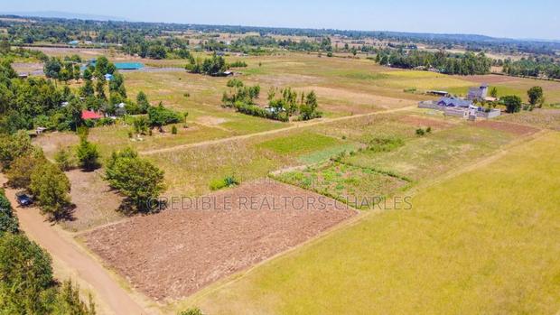 Strategically Located Plots Near Egerton University in Njoro - thumbnail 4