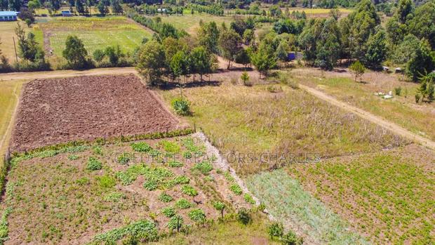 Strategically Located Plots Near Egerton University in Njoro - thumbnail 5