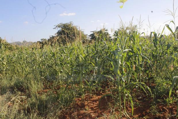Embu County,Mbeere 8 Acres Irrigation Farmland - thumbnail 8