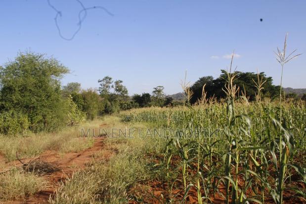 Embu County,Mbeere 8 Acres Irrigation Farmland - thumbnail 11