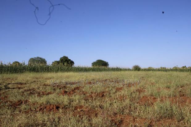 Embu County,Mbeere 8 Acres Irrigation Farmland - thumbnail 13