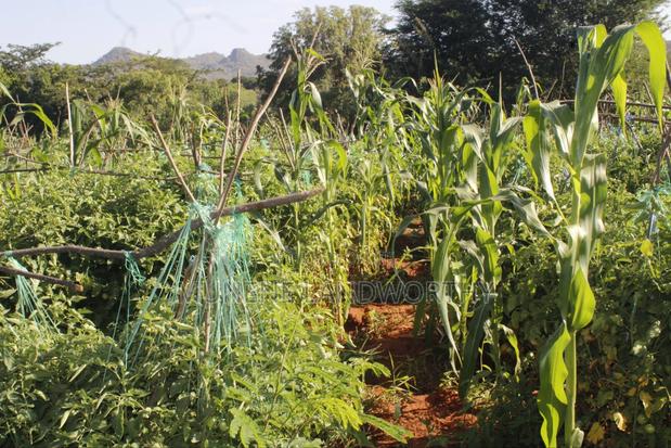 Embu County,Mbeere 8 Acres Irrigation Farmland - main view