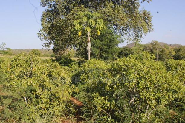 Embu County,Mbeere 8 Acres Irrigation Farmland - thumbnail 6