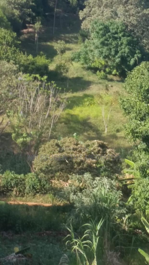 1.3 Acre Land for Sale in Lavington at 230m - thumbnail 3