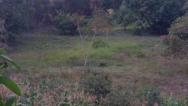 1.3 Acre Land for Sale in Lavington at 230m - thumbnail 4
