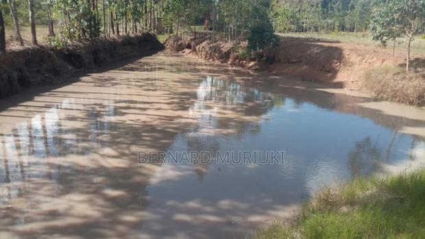 5 Acres in Muranga, Gatanga, Kigio for Lease - thumbnail 10