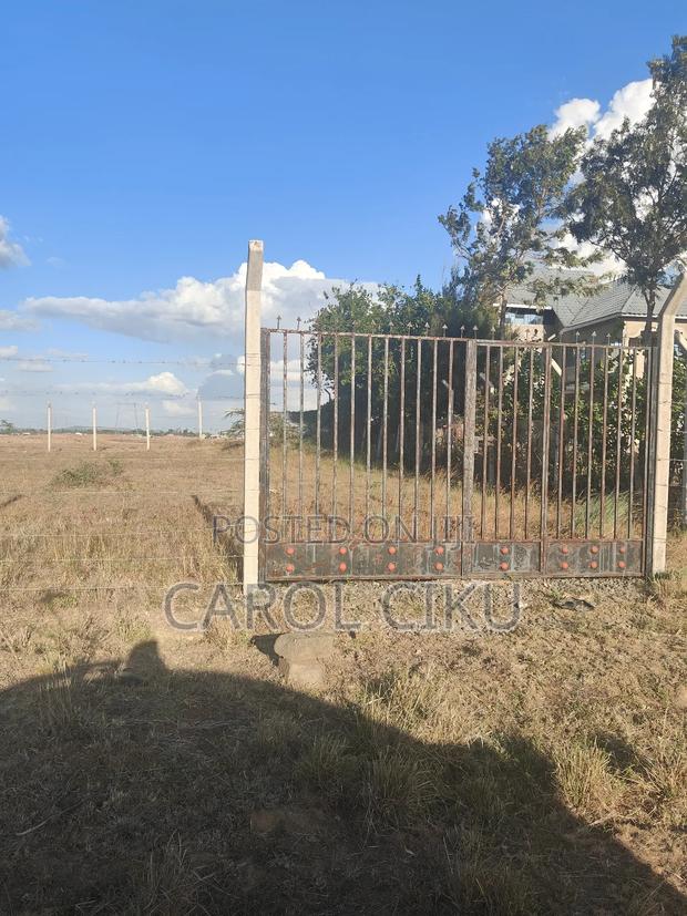 100*100 Plot Thiks - main view