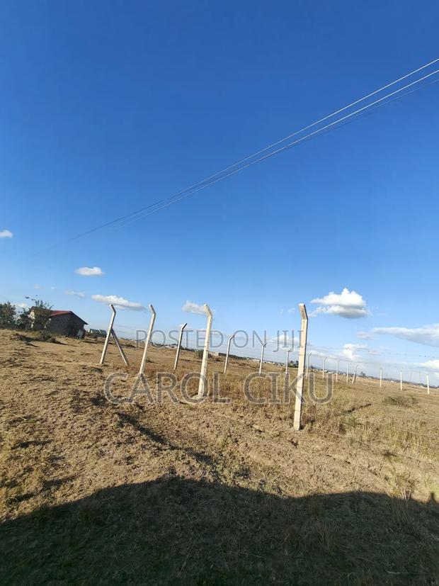 100*100 Plot Thiks - thumbnail 5