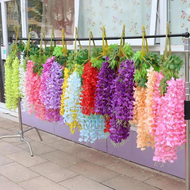 Wisteria Plant – Beautiful Ornamental Flower - Ks