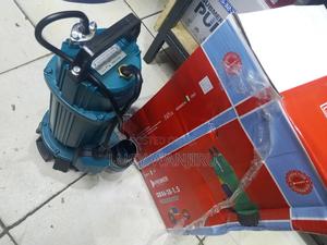 Well Performing Water Pump/ Premier Water Pump - thumbnail 2