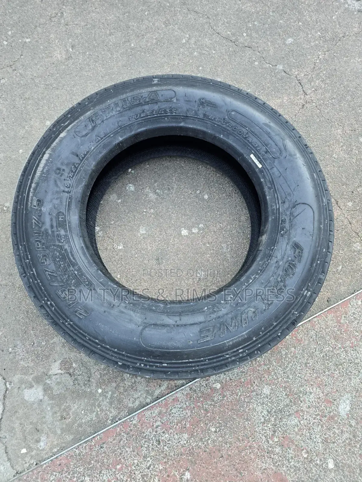 215 /75 R17. 5 Fortune Tyres (Ft115a)