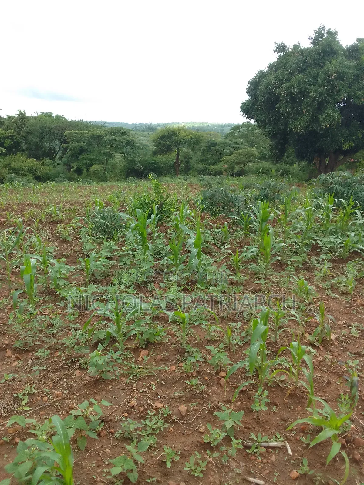 3 Acres Masii -Machakoscountyselling at Per Acre