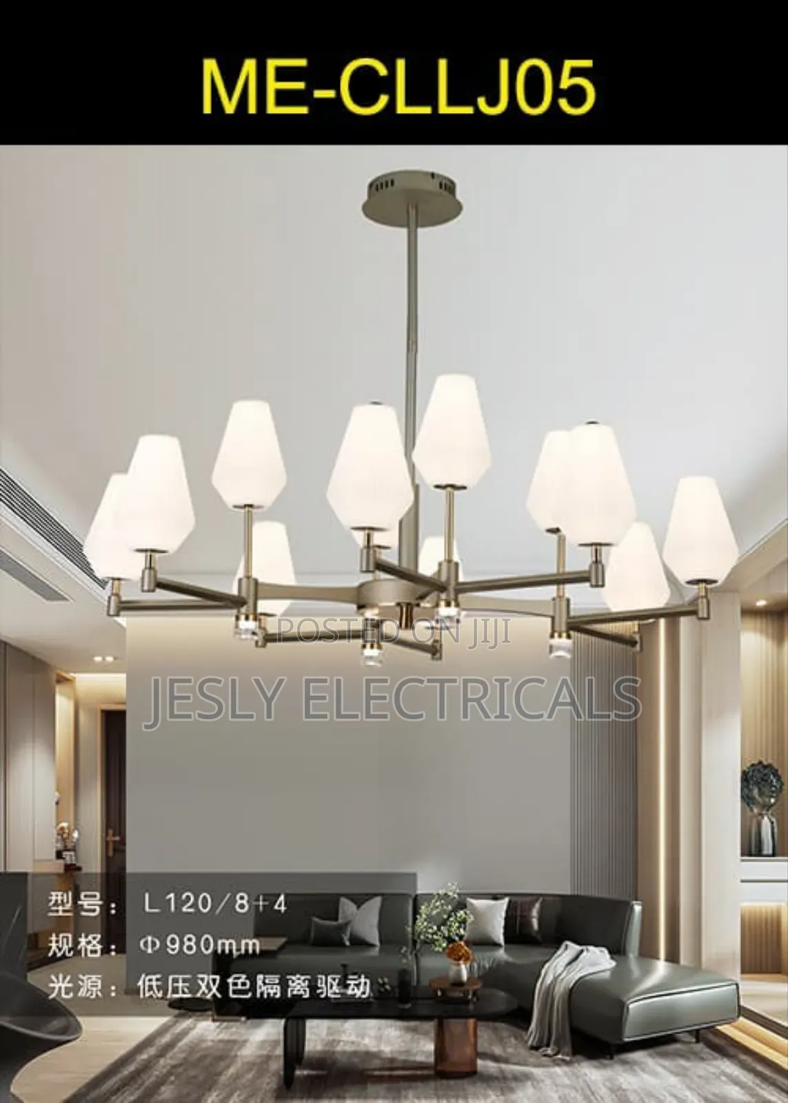 12 Light Modern Chandelier