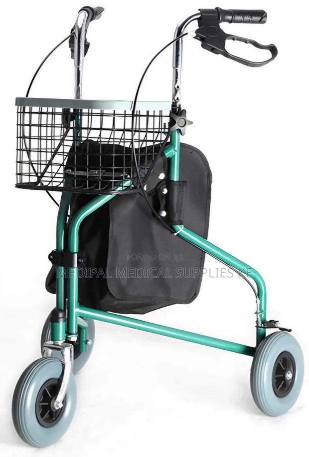 Quality Roller Walker - main view