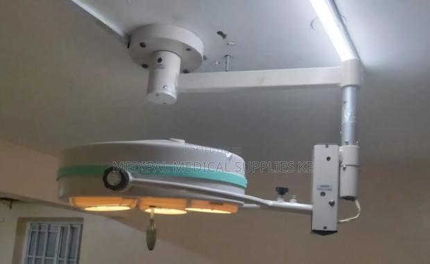 Ceiling Mount Halogen Theatre Light - main view