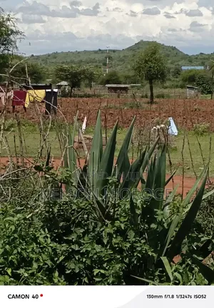 Land for Sell