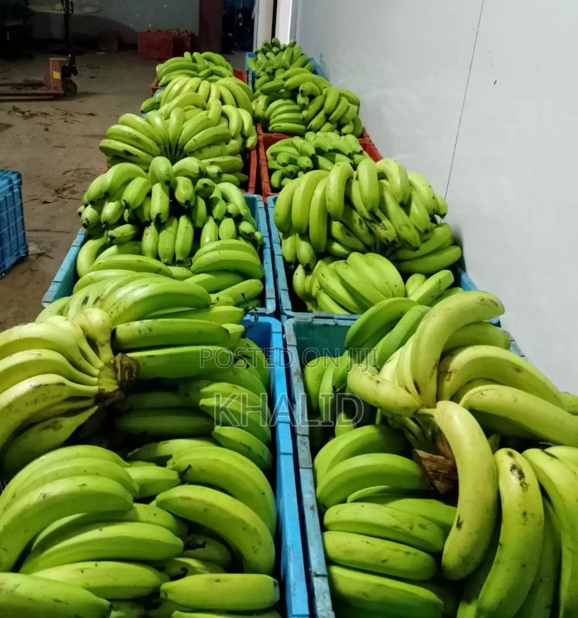 Long Bananas for Sale