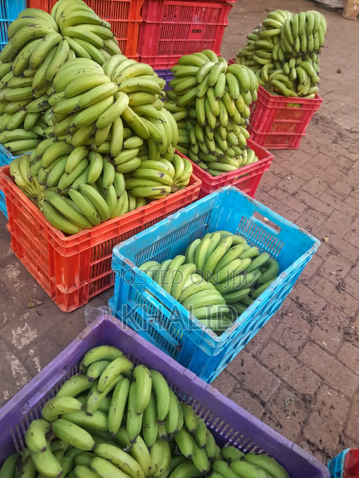 Long Bananas for Sale