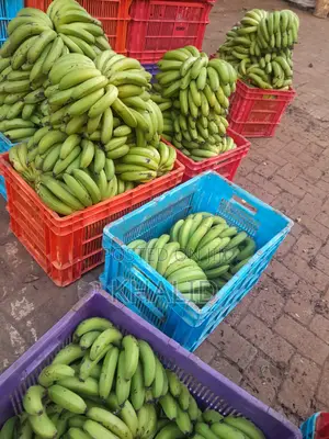 Long Bananas for Sale