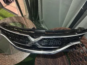 Mark X 2015 Grill