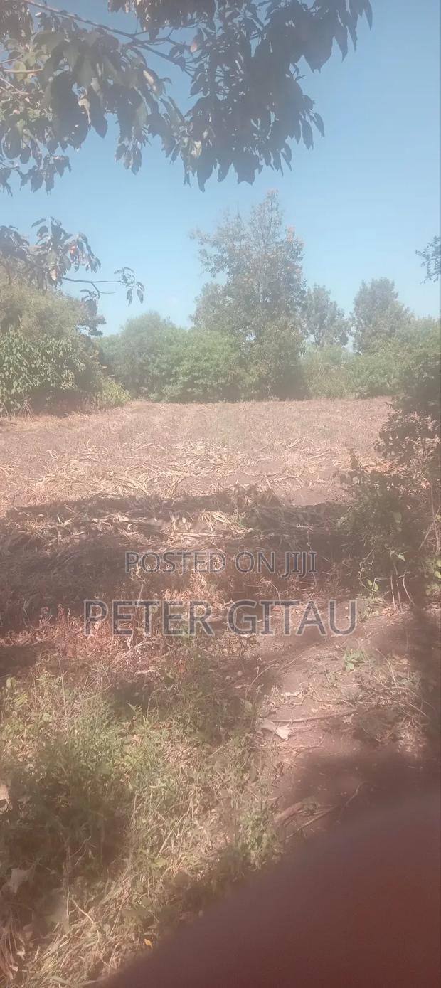 Land for Sale - thumbnail 2