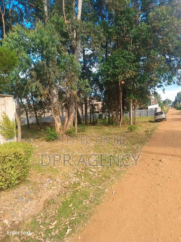 1/2 Acre Land Next to Annex Eldoret - thumbnail 2