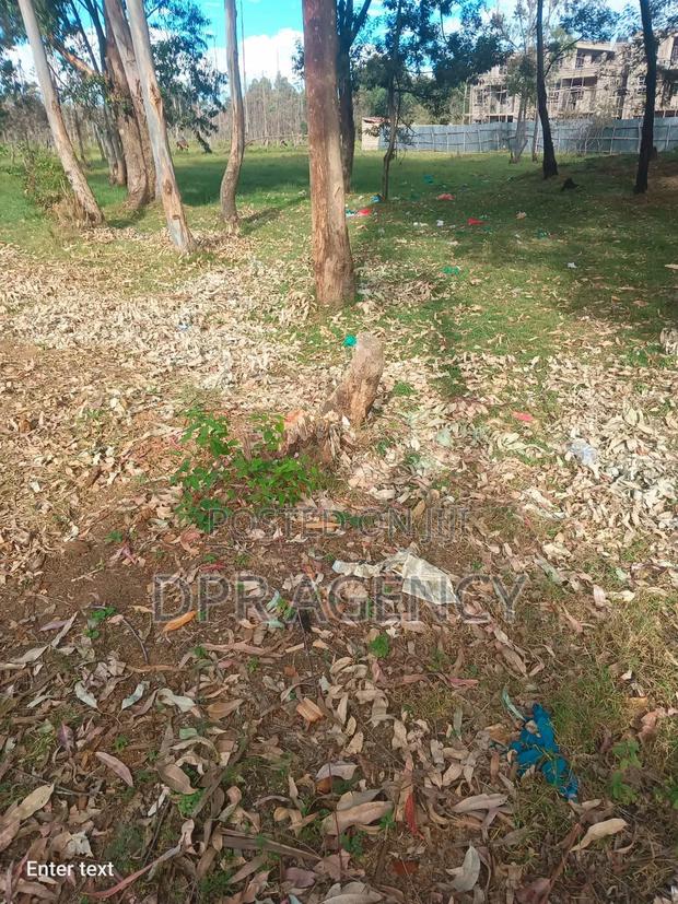1/2 Acre Land Next to Annex Eldoret - thumbnail 3