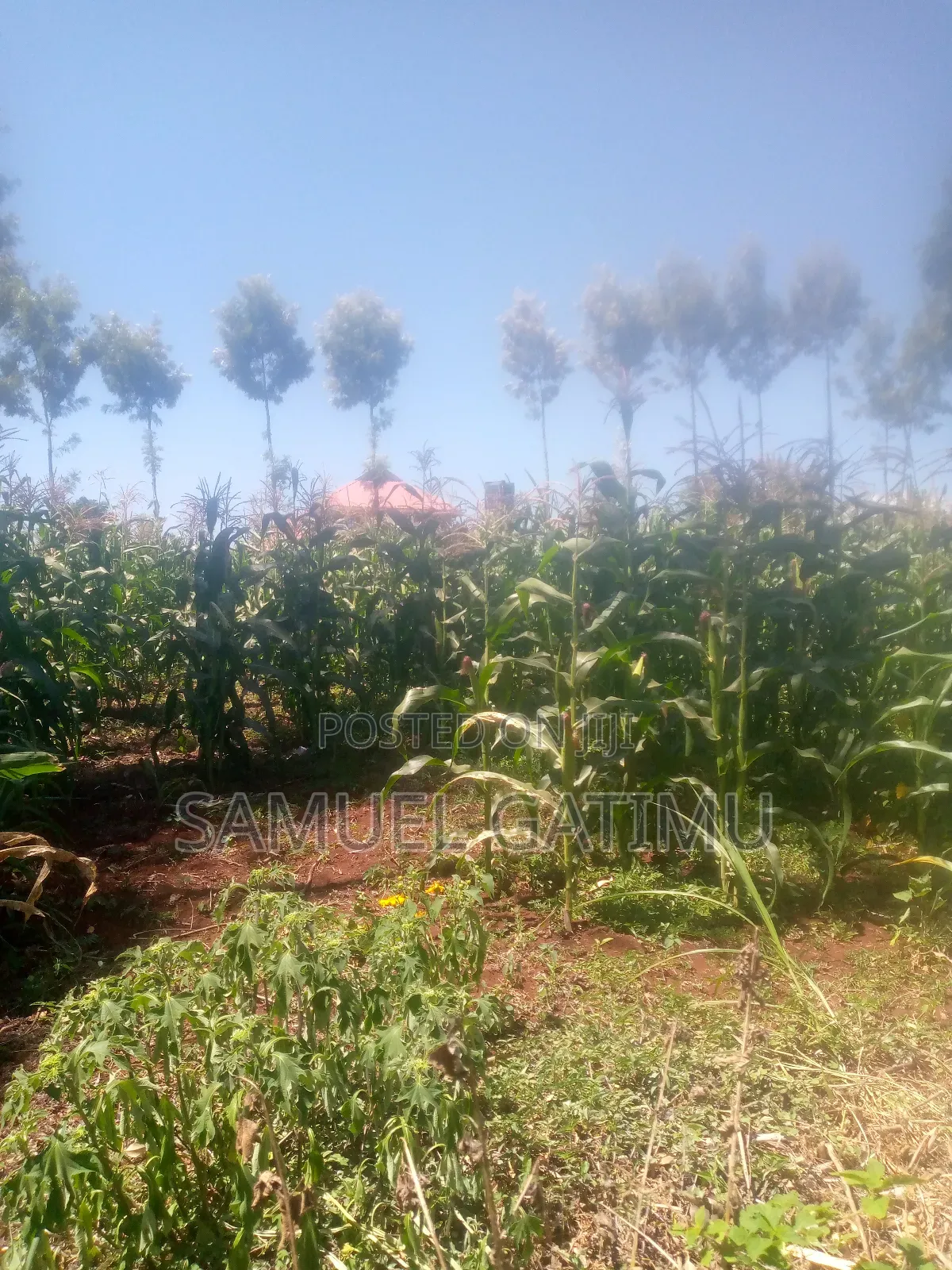Plot for Sale