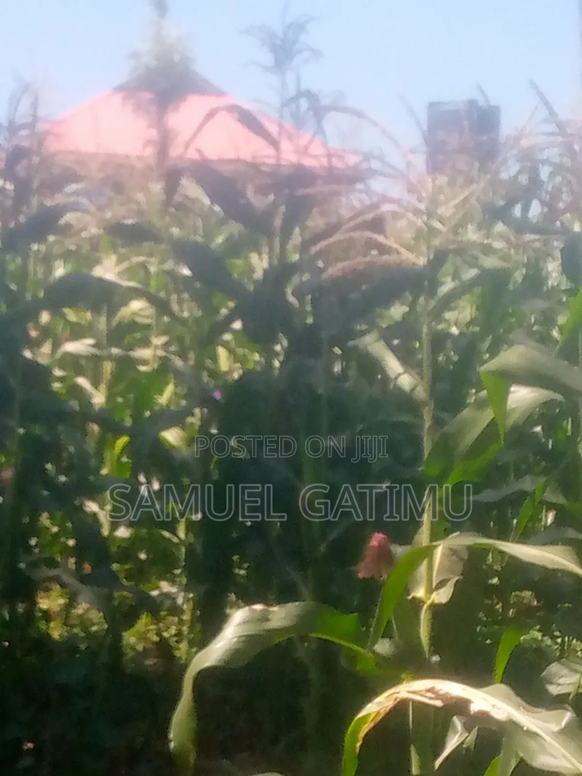 Plot for Sale