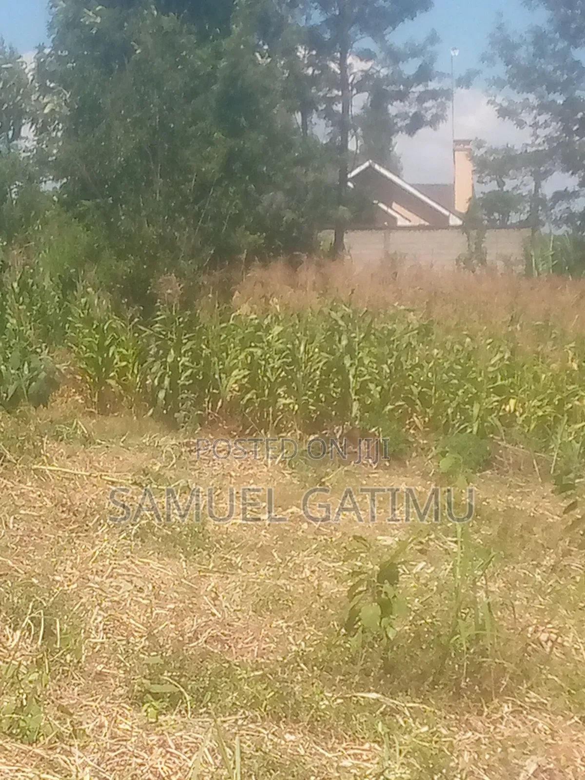 Plot for Sale