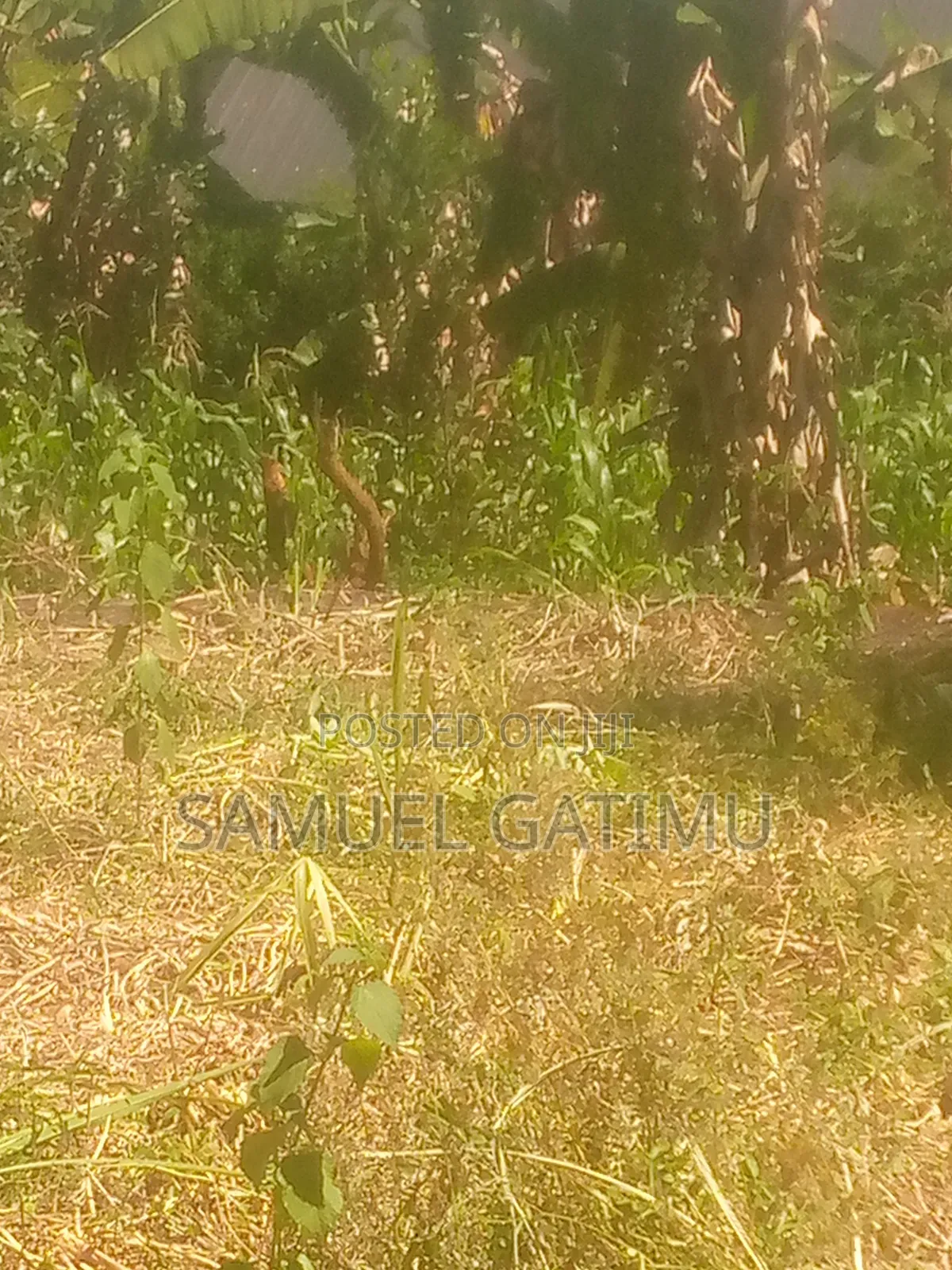 Plot for Sale