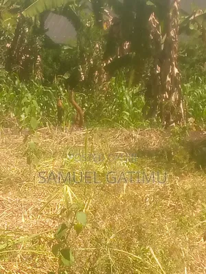 Plot for Sale