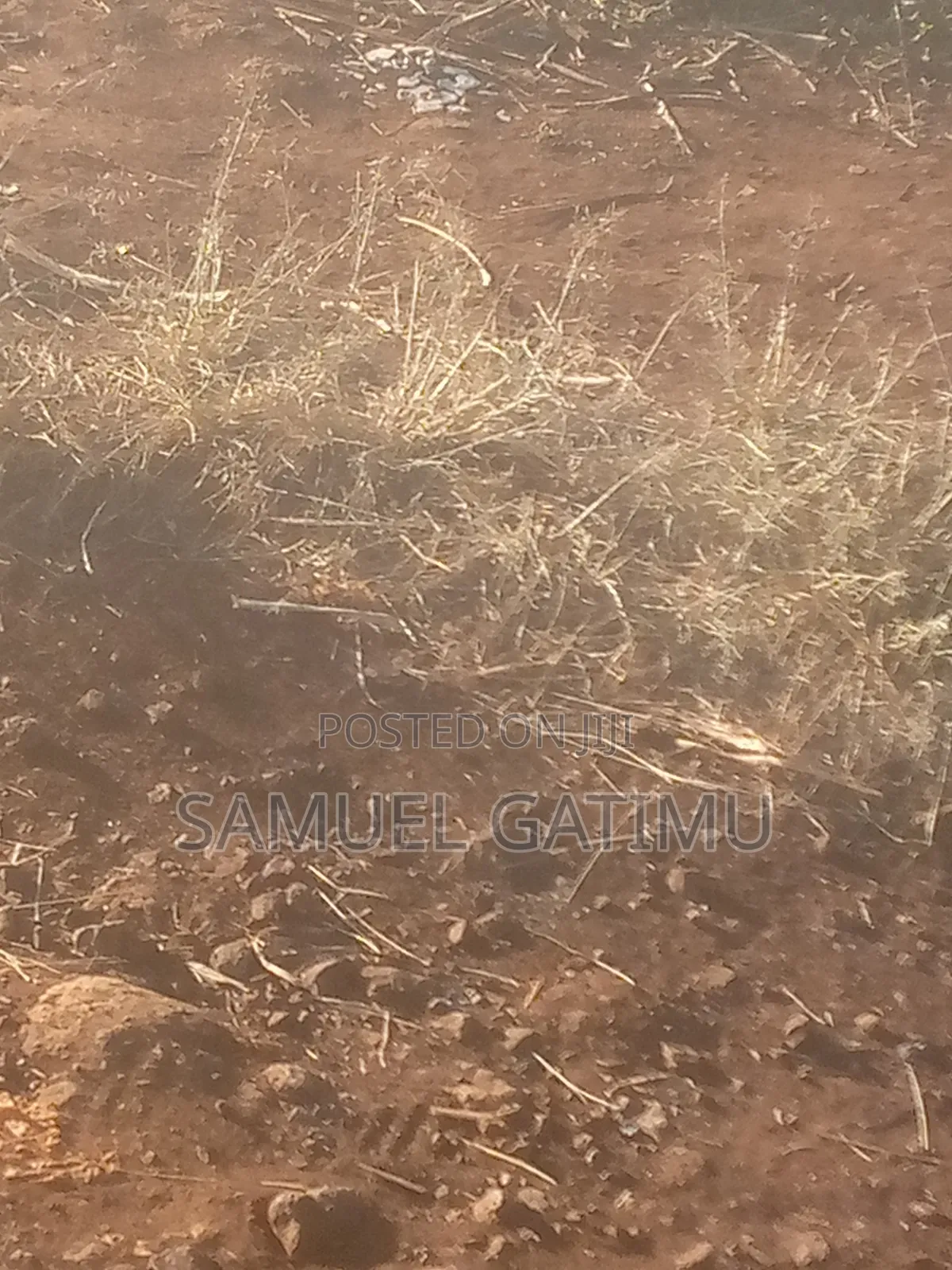 Plot for Sale