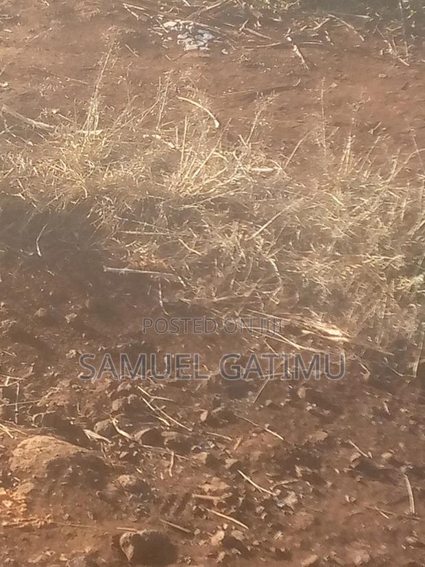 Plot for Sale - thumbnail 5