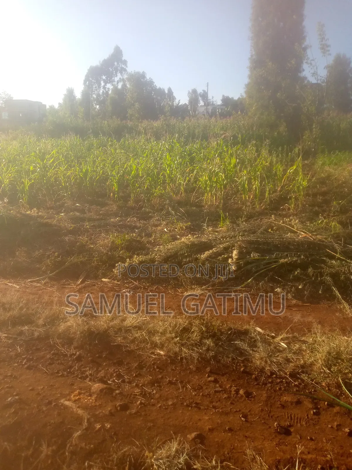 Plot for Sale