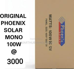 Solar Panel--100w Original Phoenix Mono Solar Panels - thumbnail 2