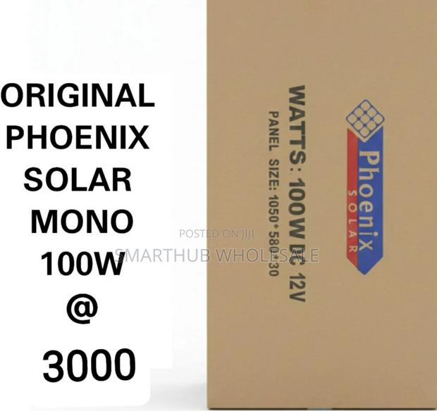 Solar Panel--100w Original Phoenix Mono Solar Panels - main view
