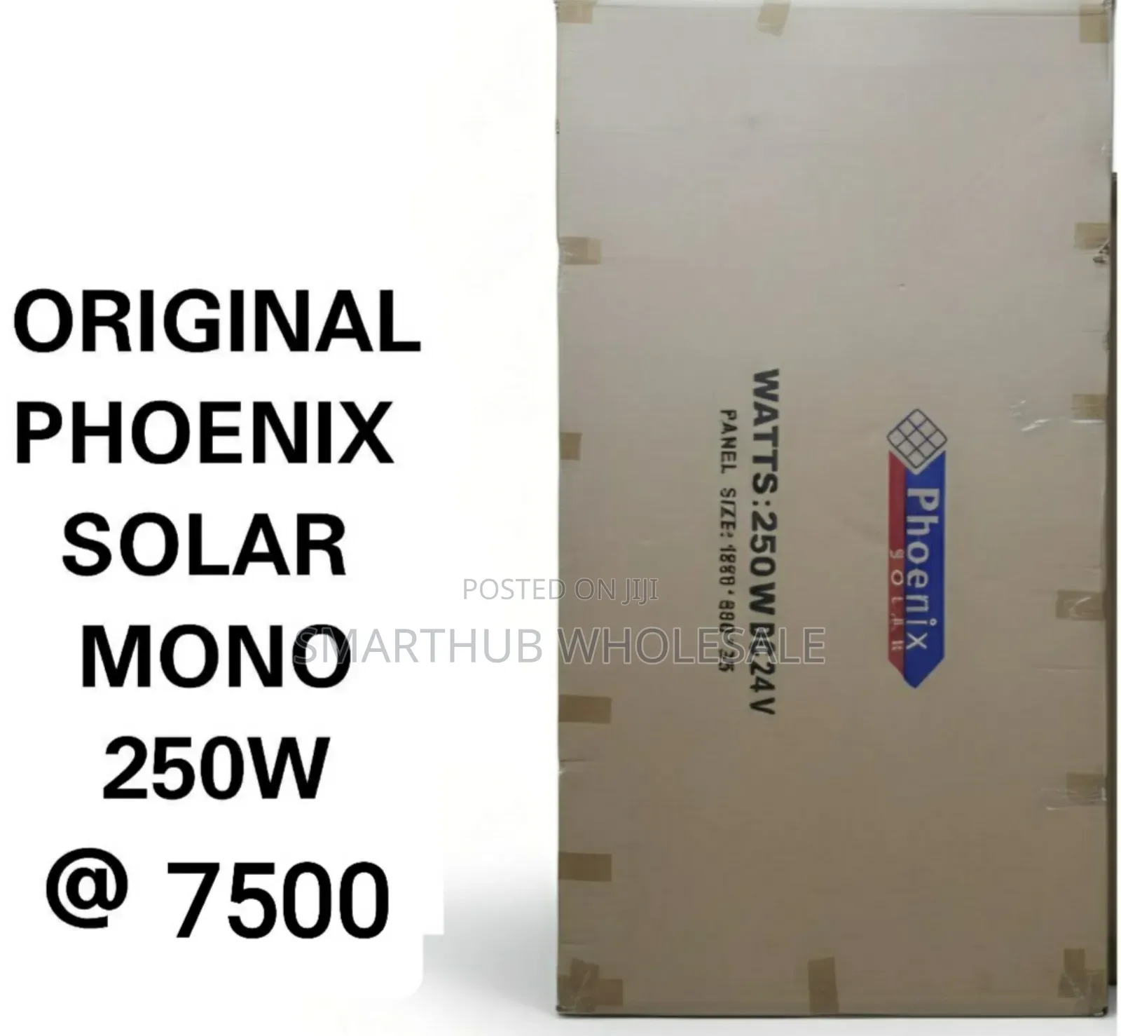 Solar Panels___phoenix Original Solar Panel 250w