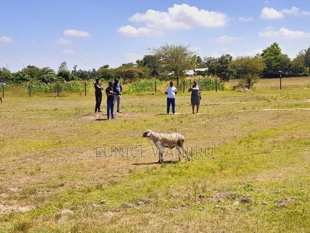 Kilimambogo Plots - thumbnail 9