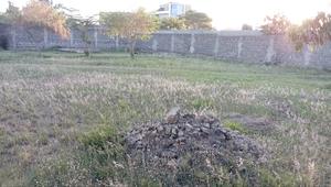 Quater Acre Prime Developed Land Utawala - thumbnail 2