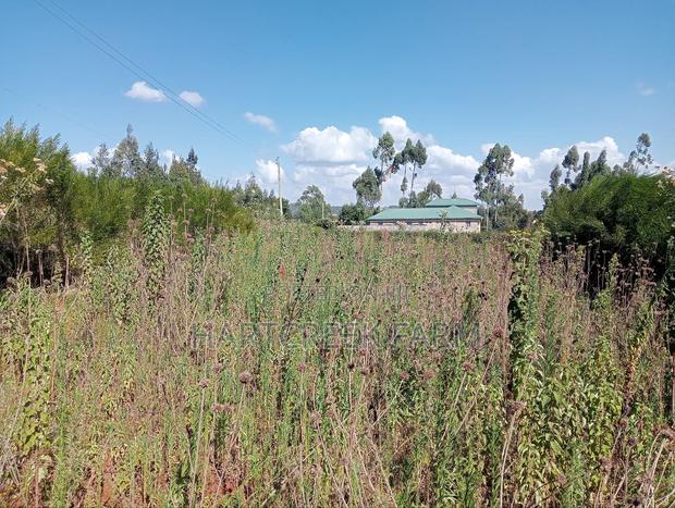 Virgin Parcel of Land for Sale - thumbnail 3