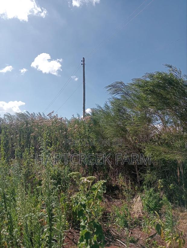 Virgin Parcel of Land for Sale - thumbnail 4