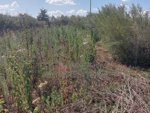 Virgin Parcel of Land for Sale - thumbnail 5